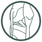 Logo Julie Colette Kinésithérapeute